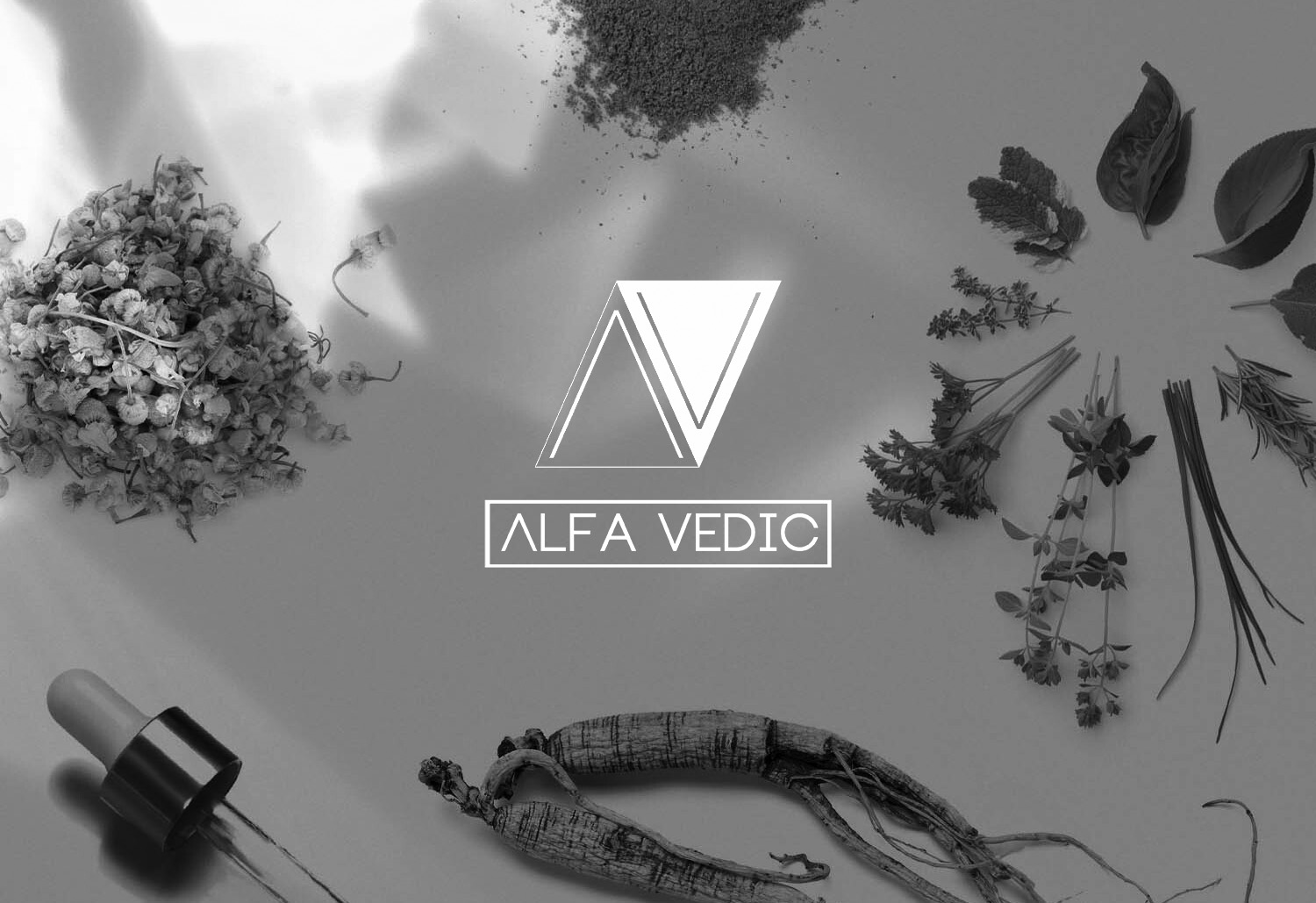 ALFA VEDIC 3.0